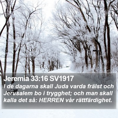 Jeremia 33:16 SV1917 Bible Verse Image