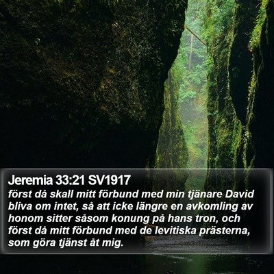 Jeremia 33:21 SV1917 Bible Verse Image