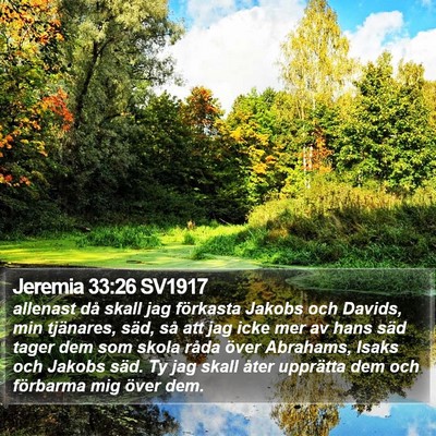Jeremia 33:26 SV1917 Bible Verse Image