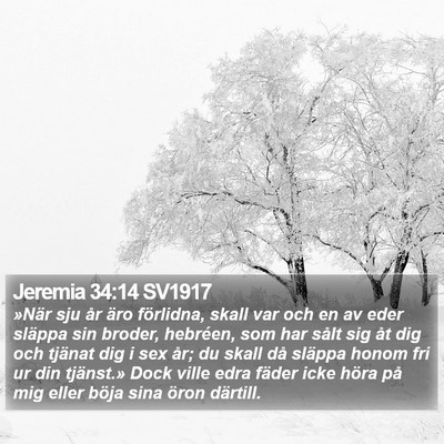 Jeremia 34:14 SV1917 Bible Verse Image
