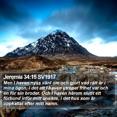 Jeremia 34:15 SV1917 Bible Verse Image