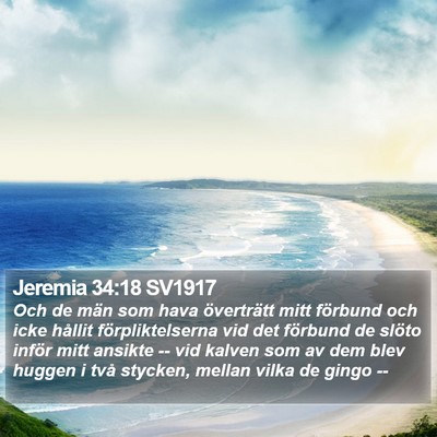Jeremia 34:18 SV1917 Bible Verse Image