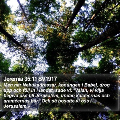 Jeremia 35:11 SV1917 Bible Verse Image