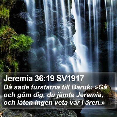 Jeremia 36:19 SV1917 Bible Verse Image