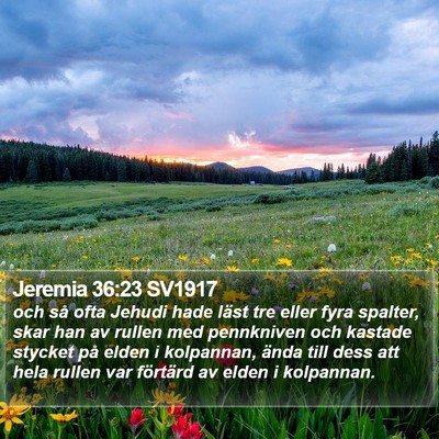 Jeremia 36:23 SV1917 Bible Verse Image