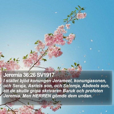 Jeremia 36:26 SV1917 Bible Verse Image