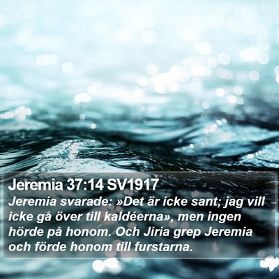 Jeremia 37:14 SV1917 Bible Verse Image