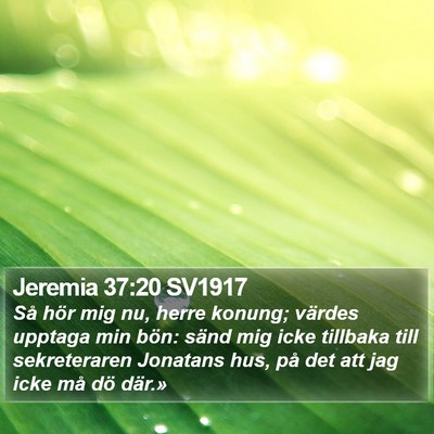 Jeremia 37:20 SV1917 Bible Verse Image