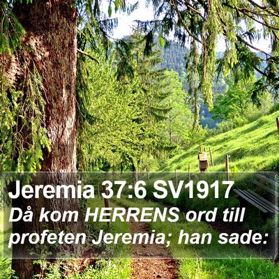 Jeremia 37:6 SV1917 Bible Verse Image