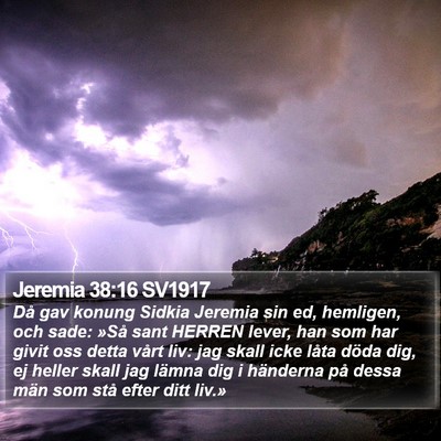 Jeremia 38:16 SV1917 Bible Verse Image