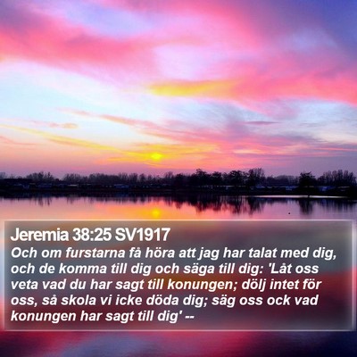 Jeremia 38:25 SV1917 Bible Verse Image
