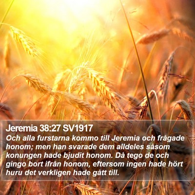 Jeremia 38:27 SV1917 Bible Verse Image
