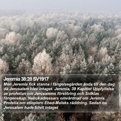 Jeremia 38:28 SV1917 Bible Verse Image