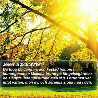 Jeremia 38:6 SV1917 Bible Verse Image