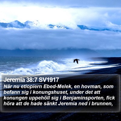 Jeremia 38:7 SV1917 Bible Verse Image