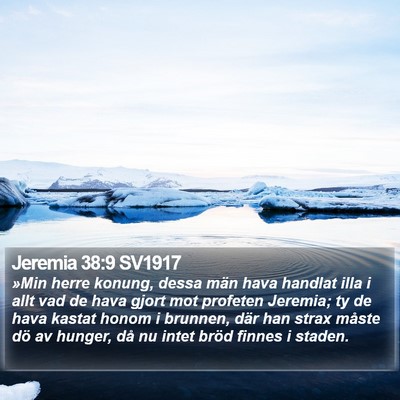 Jeremia 38:9 SV1917 Bible Verse Image