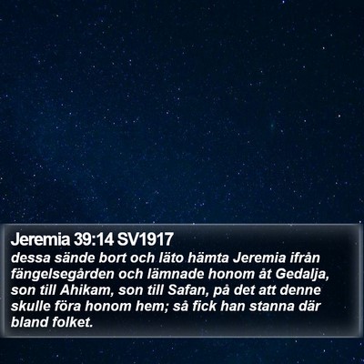 Jeremia 39:14 SV1917 Bible Verse Image