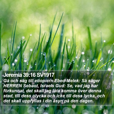 Jeremia 39:16 SV1917 Bible Verse Image