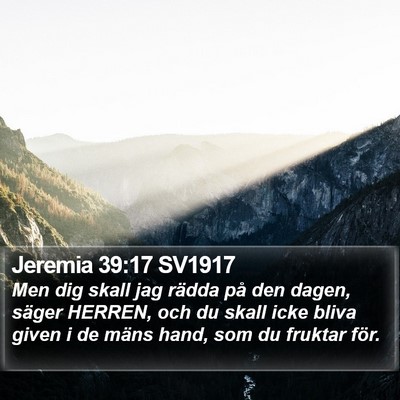 Jeremia 39:17 SV1917 Bible Verse Image