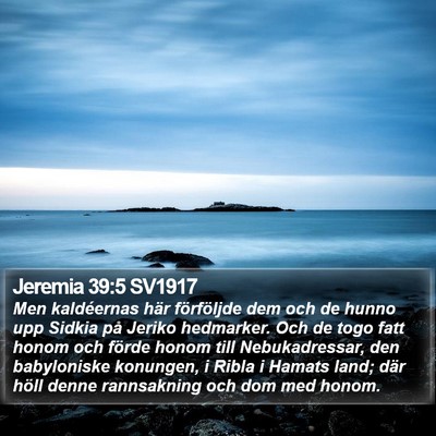 Jeremia 39:5 SV1917 Bible Verse Image