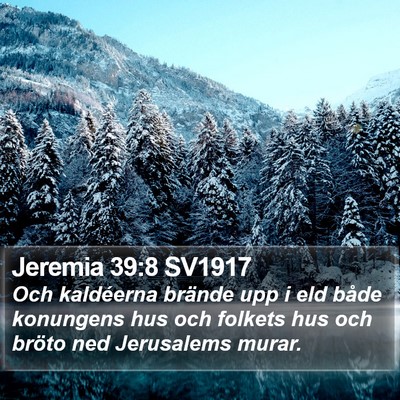 Jeremia 39:8 SV1917 Bible Verse Image