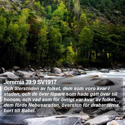 Jeremia 39:9 SV1917 Bible Verse Image