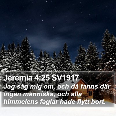Jeremia 4:25 SV1917 Bible Verse Image