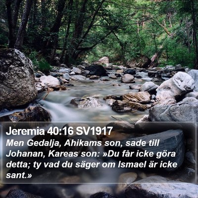 Jeremia 40:16 SV1917 Bible Verse Image