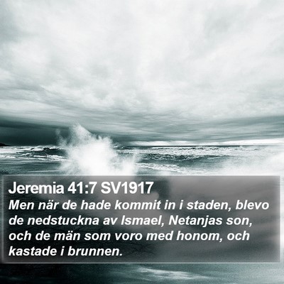 Jeremia 41:7 SV1917 Bible Verse Image