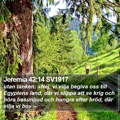 Jeremia 42:14 SV1917 Bible Verse Image