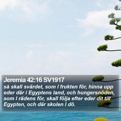 Jeremia 42:16 SV1917 Bible Verse Image