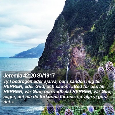 Jeremia 42:20 SV1917 Bible Verse Image