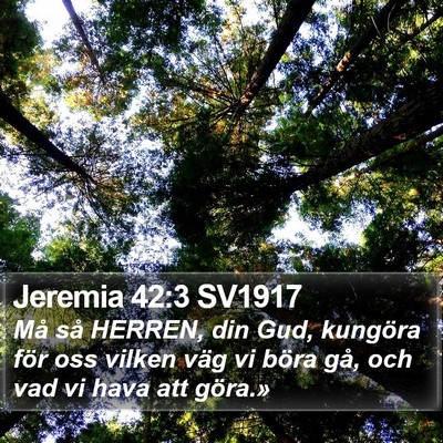 Jeremia 42:3 SV1917 Bible Verse Image