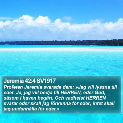 Jeremia 42:4 SV1917 Bible Verse Image