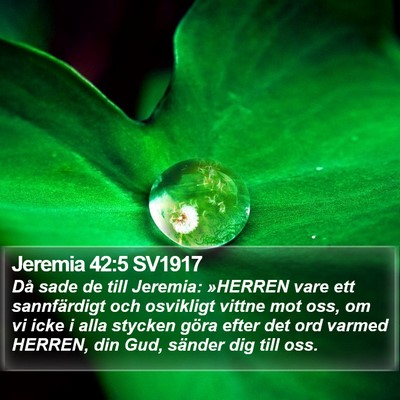 Jeremia 42:5 SV1917 Bible Verse Image