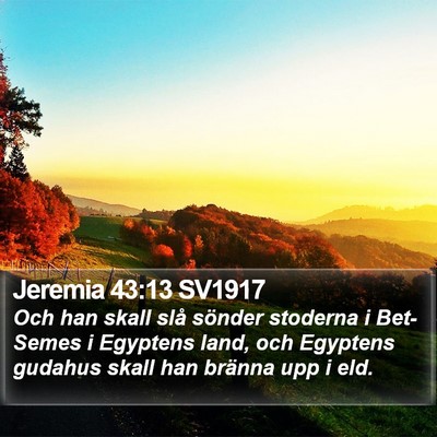 Jeremia 43:13 SV1917 Bible Verse Image