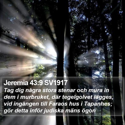 Jeremia 43:9 SV1917 Bible Verse Image
