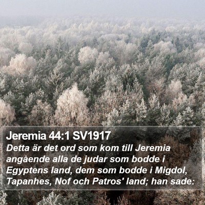 Jeremia 44:1 SV1917 Bible Verse Image
