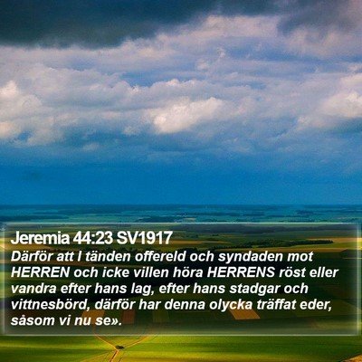Jeremia 44:23 SV1917 Bible Verse Image