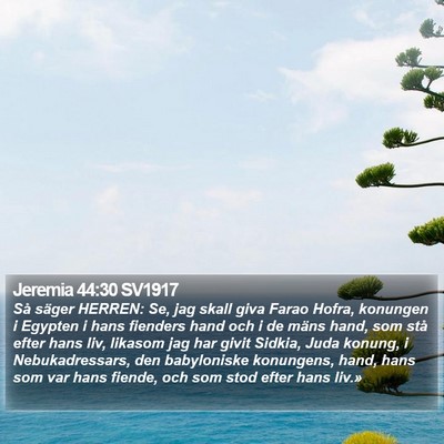Jeremia 44:30 SV1917 Bible Verse Image
