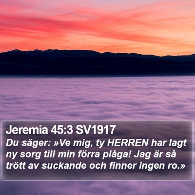 Jeremia 45:3 SV1917 Bible Verse Image
