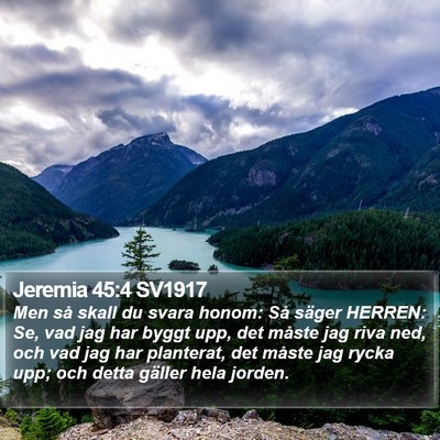 Jeremia 45:4 SV1917 Bible Verse Image
