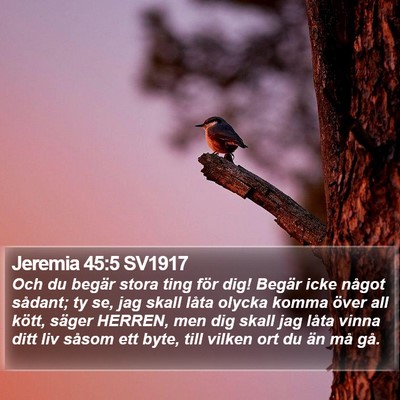 Jeremia 45:5 SV1917 Bible Verse Image