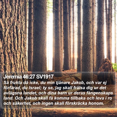 Jeremia 46:27 SV1917 Bible Verse Image