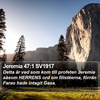 Jeremia 47:1 SV1917 Bible Verse Image