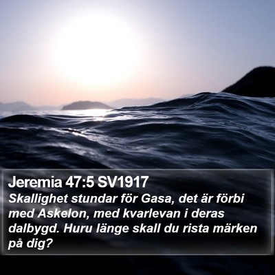 Jeremia 47:5 SV1917 Bible Verse Image