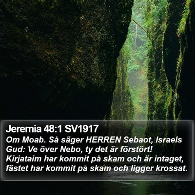 Jeremia 48:1 SV1917 Bible Verse Image