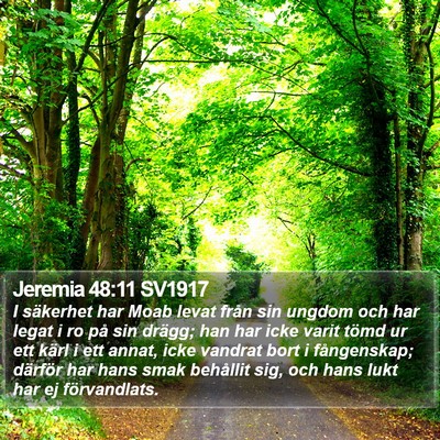 Jeremia 48:11 SV1917 Bible Verse Image