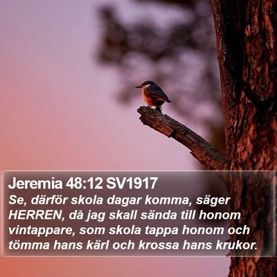 Jeremia 48:12 SV1917 Bible Verse Image