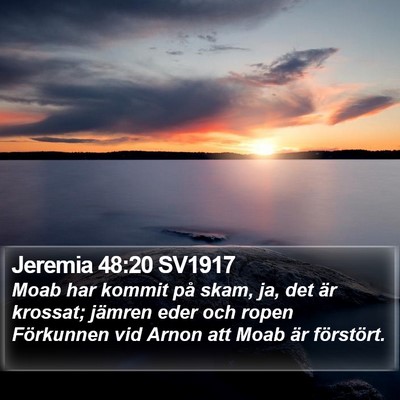 Jeremia 48:20 SV1917 Bible Verse Image